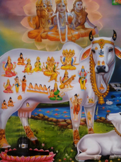 Gau-Puja