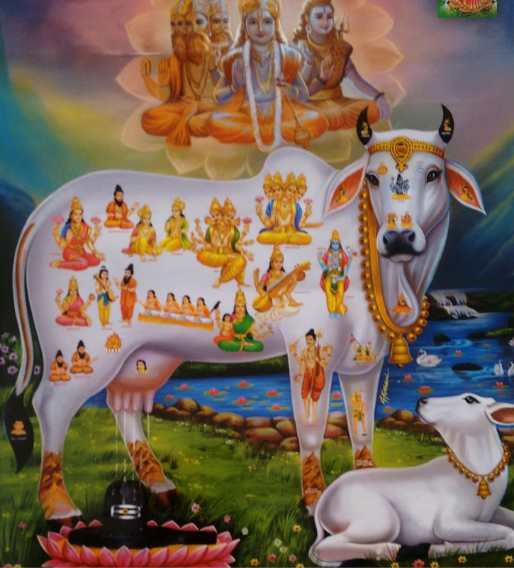 Gau-Puja